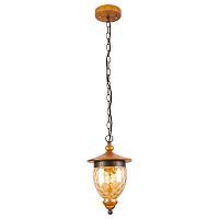 подвесной светильник arte lamp catena a6711sp-1br в Улан-Удэ