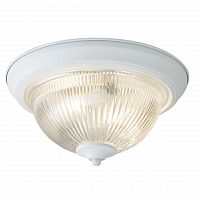 потолочный светильник arte lamp aqua a9370pl-2wh в Улан-Удэ