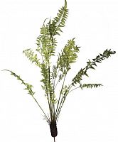 декор fern plant в Улан-Удэ